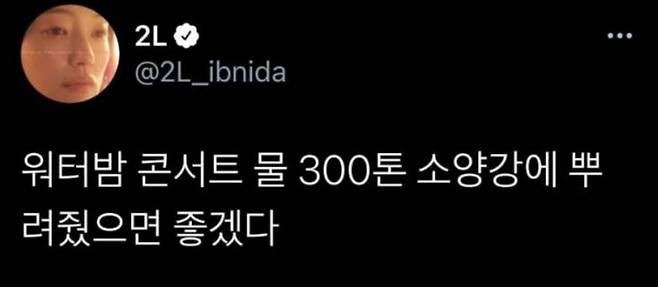 2022년 워터밤 관련 소신을 밝힌 배우 이엘. /X(옛 트위터)