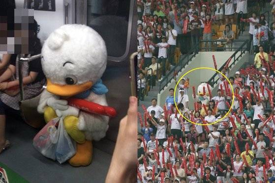 과거 지하철에서 포착됐던 오리갑(왼쪽), 군중 속에서 열심히 응원하는 오리갑. 사진 X 캡처