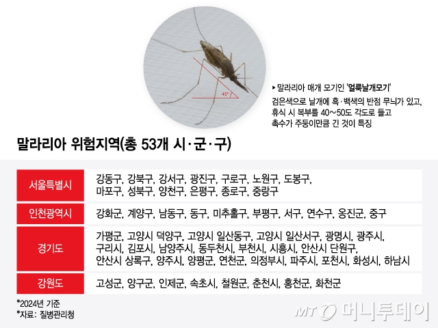 말라리아 위험지역(총 53개 시·군·구)/그래픽=윤선정