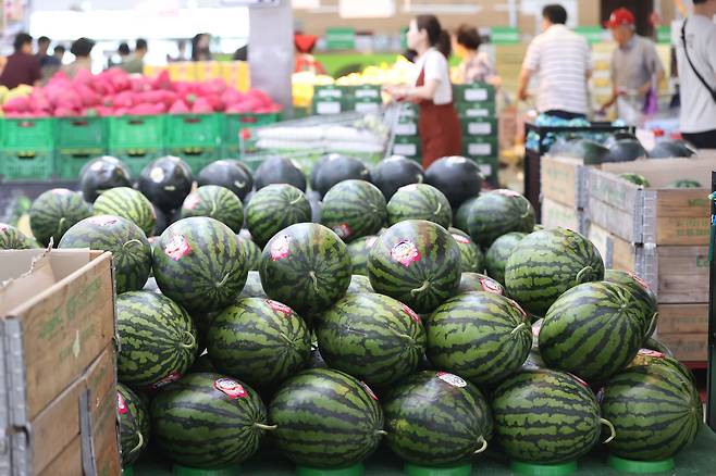 이달 초 서울의 한 대형마트에서 시민이 수박을 고르고 있다. 연합뉴스