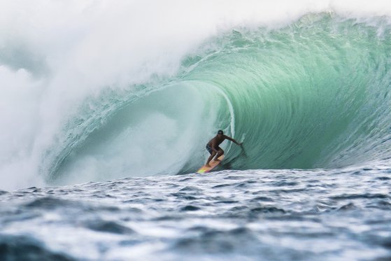 배우 겸 유명 서퍼인 타마요 페리가 생전 서핑을 하는 모습. 그는 23일(현지시간) 하와이에서 서핑을 하던 중 상어에 물려 사망했다. AP=연합뉴스