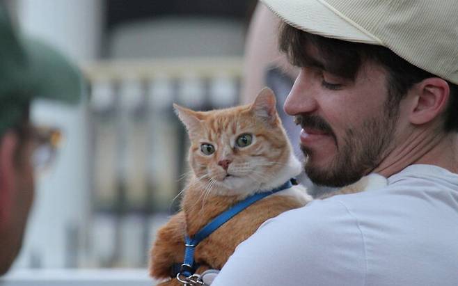 지난달 26일(현지시각) 미국 미네소타주 미니애폴리스 웨지에서 열린 ‘고양이 투어’ 참가자들이 이웃집 고양이들을 만나고 있다. ‘웨지 라이브’ 인스타그램