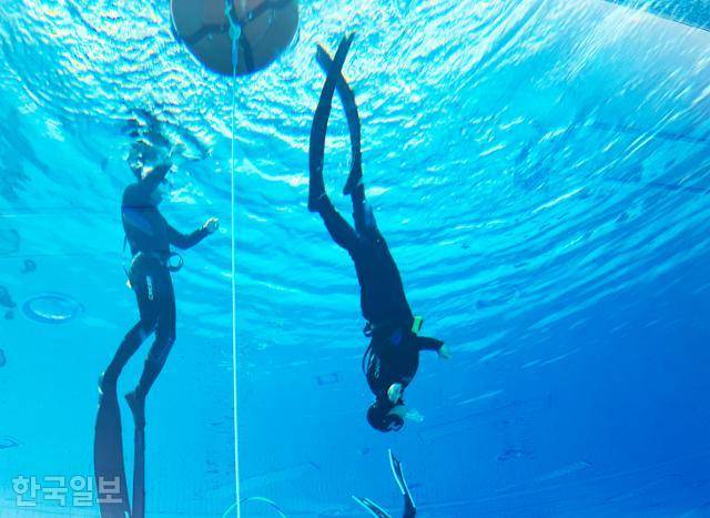울진해양레포츠센터 프리다이빙 체험. 초보자에게는 몸을 거꾸로 세워 물속으로 내려가는 게 쉽지 않았다.