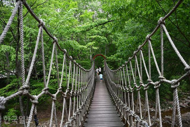 통고산자연휴양림 안의 산책로. 해발 500m 지점에 위치한 휴양림으로 무더위도 한풀 꺾이는 곳이다.