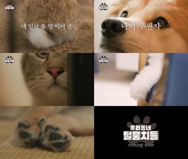 MBC ‘우리동네 털뭉치들’