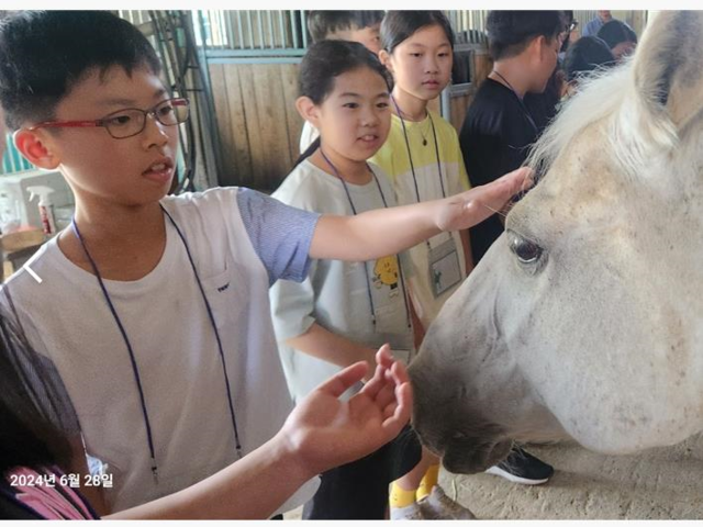 ‘동물 교감 치유프로그램’에 참가 중인 한 학생이 말과 교감하고 있는 모습. 한국치유농업발전협회