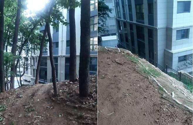 3일 숲체험원 옆의 비탈과 맞닿은 한 아파트 모습 [아시아경제 ]