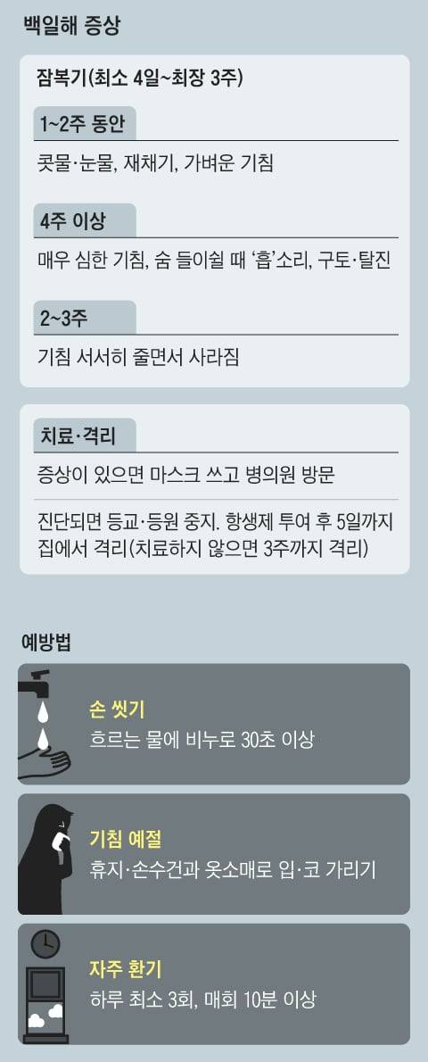 그래픽=이철원