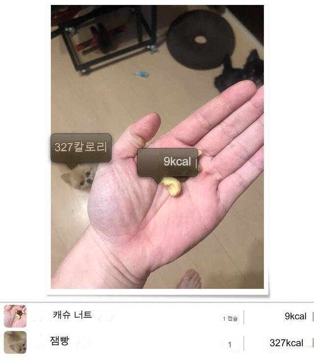 칼로리 계산 어플.jpg