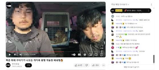 캣치독팀은 라이브 방송을 통해 “정기후원자 5명만 신청해주시면 단체 운영 보호소로 옮기겠다”며 시바견 광복이에 대한 후원금을 호소했다. 그 결과 광복이는 구조 직후 동물병원으로 이동해 건강검진과 골절상 수술을 받았다. 유튜브 캡처
