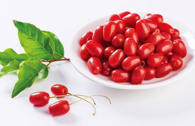 보리수 열매. [GETTYIMAGES]