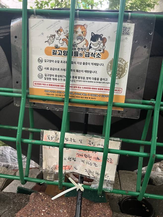 우리동네 켓맘 형법