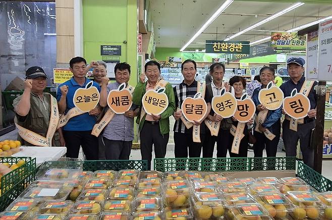 농협유통 하나로마트 성남점에서 '망고링' 판촉전을 열고 있다. (사진=영주시 제공) *재판매 및 DB 금지