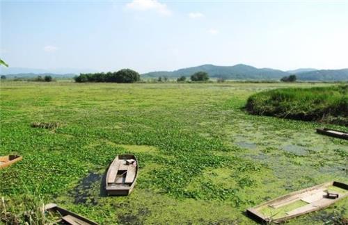 유네스코(UNESCO) 생물권보전 지역으로 지정된 경남 창녕군 우포늪. 창녕군 제공