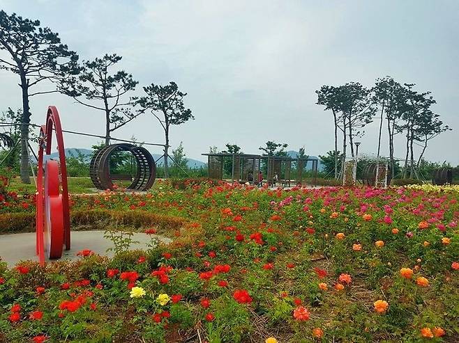 [세종=뉴시스] 금강수변공원 숲바람 장미원 전경.(사진=세종시). 2024.07.08. *재판매 및 DB 금지