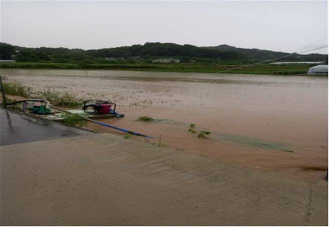 [안동=뉴시스] 8일 내린 오후로 침수된 예천군 풍양면 논.  (사진=경북도 제공) 2024.07.08 *재판매 및 DB 금지