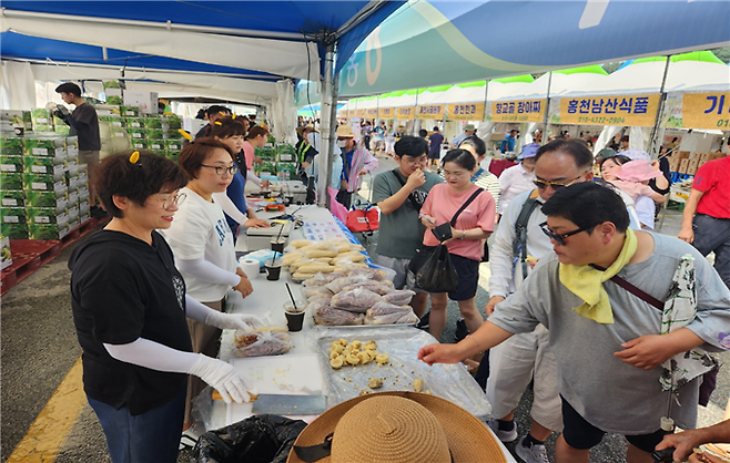 홍천찰옥수수 축제가 오는 19일부터 홍천종합운동장에서 열린다. 사진은 지난해 축제 때 모습. 홍천문화재단 제공