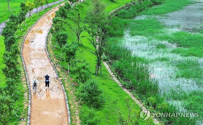 장마 속 산책 (장성=연합뉴스) 조남수 기자 = 장마가 이어지고 있는 9일 전남 장성군 황룡강 생태공원에서 시민들이 장맛비가 그친 틈에 산책하고 있다. 2024.7.9 iso64@yna.co.kr