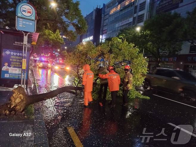 10일 오전 5시 1분쯤 대구 달서구 계명대 동문 인근 버스정류장 앞에서 강풍을 동반한 국지성 호우로 가로수가 뿌리가 뽑힌 채 쓰러져 소방 당국이 안전 조치를 취하고 있다. (대구소방안전본부 제공) 2024.7.10/뉴스1 ⓒ News1 남승렬 기자