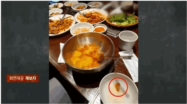 안 씹히는 주꾸미, 뱉어보니 \'반창고\'…식당 "남자라 다행"