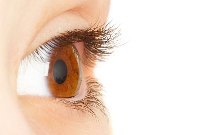 눈알을 굴리거나, 가까이와 멀리 보기를 반복하는 ‘눈 운동’은 시력 향상에 도움 되지 않는다./사진=클립아트코리아