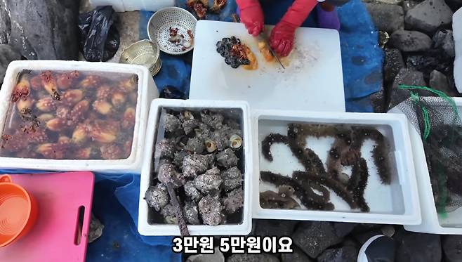 [유튜브 채널 '부산여자하쿠짱TV' 영상 캡처]