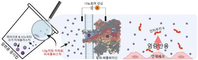 폴리에틸렌으로 코팅된 일회용 종이컵에서 1.4 나노미터의 균일한 나노포어를 통해 나노미터 이하의 미세플라스틱을 검출했다. 또한 나노미터 이하의 미세플라스틱도 면역세포의 염증 반응(인터루킨 6 생성 증가)을 유발할 수 있음을 밝혔다.