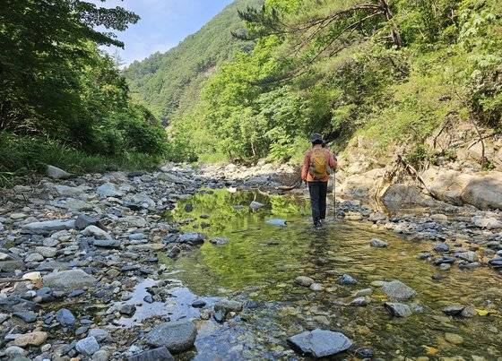 문지골은 등산로가 없어서 물속을 많이 걷는다. 장마 전에 방문한 터라 계곡이 가물었다.