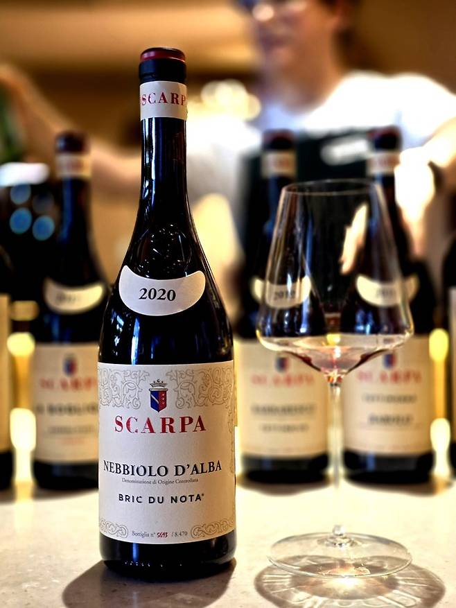 스카르파 네비올로 달바. 최현태 기자