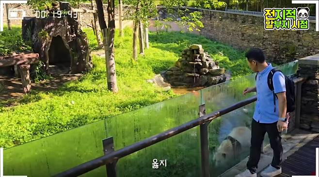 강철원사육사가 떠나려고 하니 그제서야 최근접 거리에서 할부지와 벽사이에 두고 동행하는 푸바오