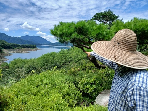 수몰된 지역을 가리키는 박순태 이장 [김형우 촬영]