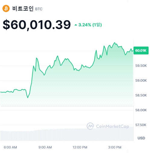 비트코인 시세그래프(출처=코인마켓캡)