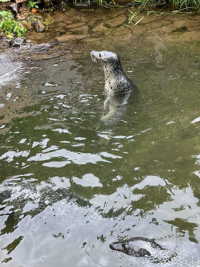 7c98f502c1f768fe23ea8596429c706ec50a0c612086fe7b9b5b395880b49805f4cd2c1d43517703c9d4eab0438aab1d92e746f204