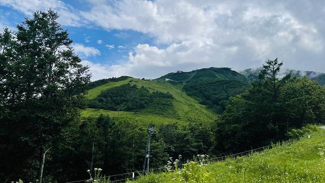 IMG_0898.jpeg 일본 나가노 하쿠바 기타오네고원 스노우피크 필드스위트 캠핑