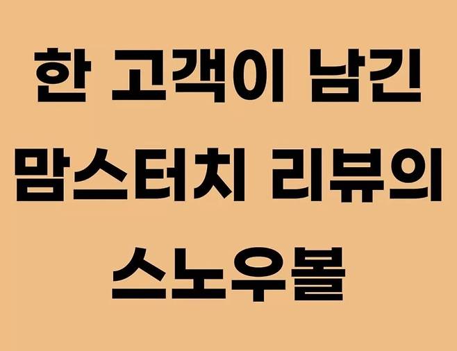 Screenshot_20240715_095302_Instagram.jpg 한 고객이 남긴 맘스터치 리뷰의 스노우볼