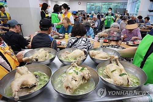 어르신, 삼계탕 드시고 더위 이기세요! [연합뉴스 자료사진. 재판매 및 DB 금지] 사진은 기사 내용과 관련 없음.