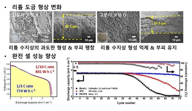 폴리도파민 코팅 유무에 따른 리튬 금속 도금 형상 및 완전 셀 성능 비교.