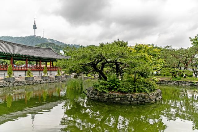 남산골한옥마을의 전통정원 풍경. 한옥과 어우러져 비 오는 날 더욱 운치 있다. 서울관광재단 제공