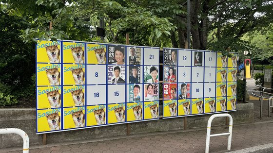 지난 1일, 일본 도쿄 롯폰기의 도지사 선거 게시판이 강아지 사진으로 도배돼 있다. 정원석 기자