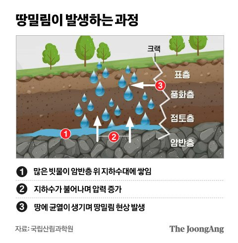 정근영 디자이너