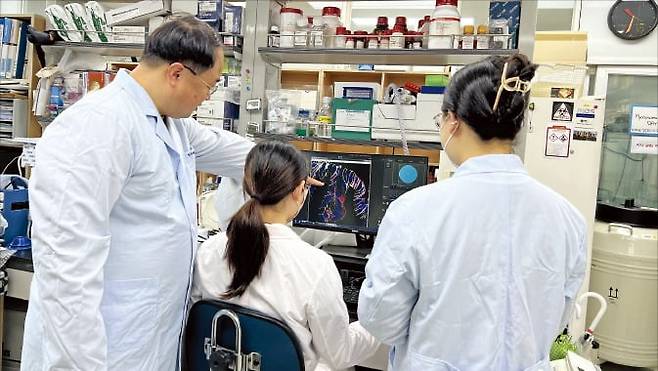 한국생명공학연구원 줄기세포융합연구센터가 장 오가노이드(장기 유사체)를 대량으로 배양하기 위한 연구개발(R&D)을 하고 있다. /한국생명공학연구원 제공