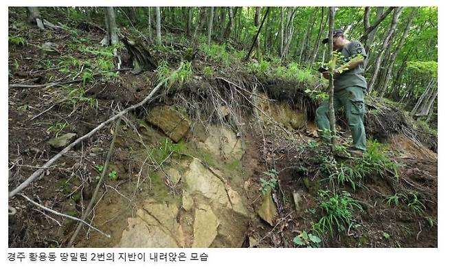 [세종=뉴시스] 경주 토함산 일대에서 진행되고 있는 땅밀림 모습. (사진=녹색연합).  *재판매 및 DB 금지