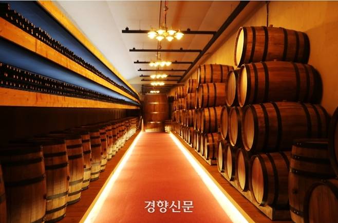 영동 와인터널. 사진|이윤정 기자