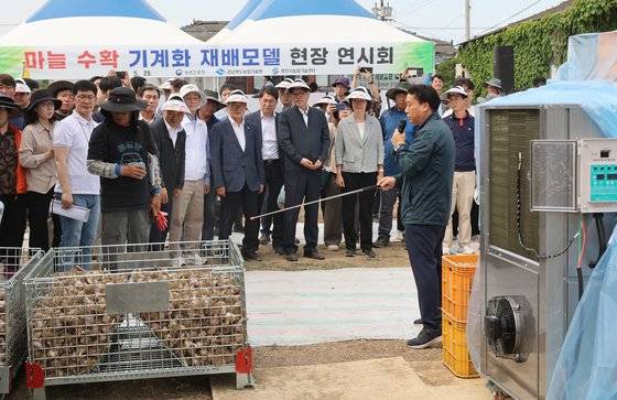 지난 5월 29일 경북 영천시 금호읍 한 마늘밭에서 열린 '마늘 수확기' 연시회 모습. [사진 농촌진흥청]