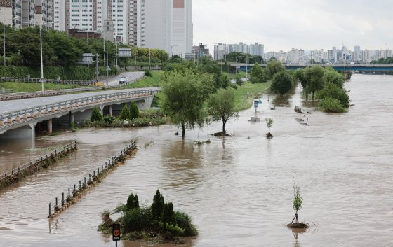 서울 전역에 한때 호우경보가 발효된 17일 오전 서울 노원구 중랑천 공원과 산책로 일부가 잠겨있다. 연합뉴스