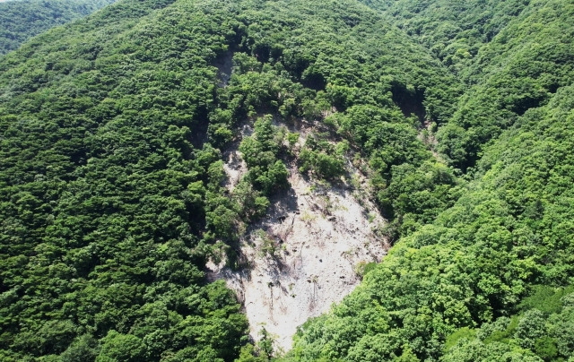 경주 황용동의 땅밀림이 진행중인 현장 모습, 산지의 급경사 지반이 내려앉고 있다. 녹색연합 제공