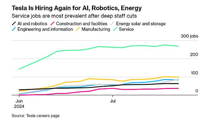 테슬라의 분야별 신규 직원 채용 추이 /사진=블룸버그