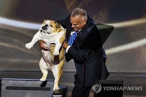 전당대회 행사장에 등장한 불독 [밀워키[미 위스콘신주] EPA=연합뉴스. 재판매 DB 금지]