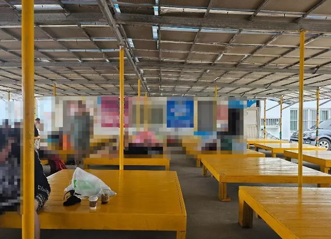 글쓴이 가족이 6만원을 지불하고 빌린 평상. [사진=온라인 커뮤니티 갈무리]