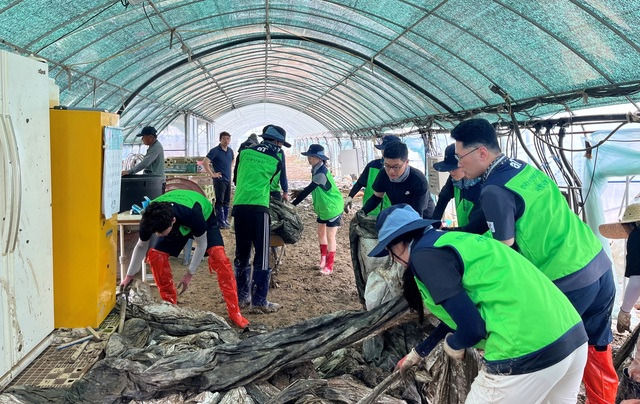 aT(한국농수산식품유통공사) 직원 20여명이 17일 집중호우로 피해를 본 전북 익산 시설하우스를 찾아 복구 작업을 돕고 있다. aT